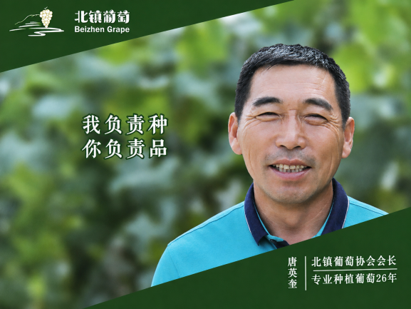 北镇葡萄品牌形象代言人展示一