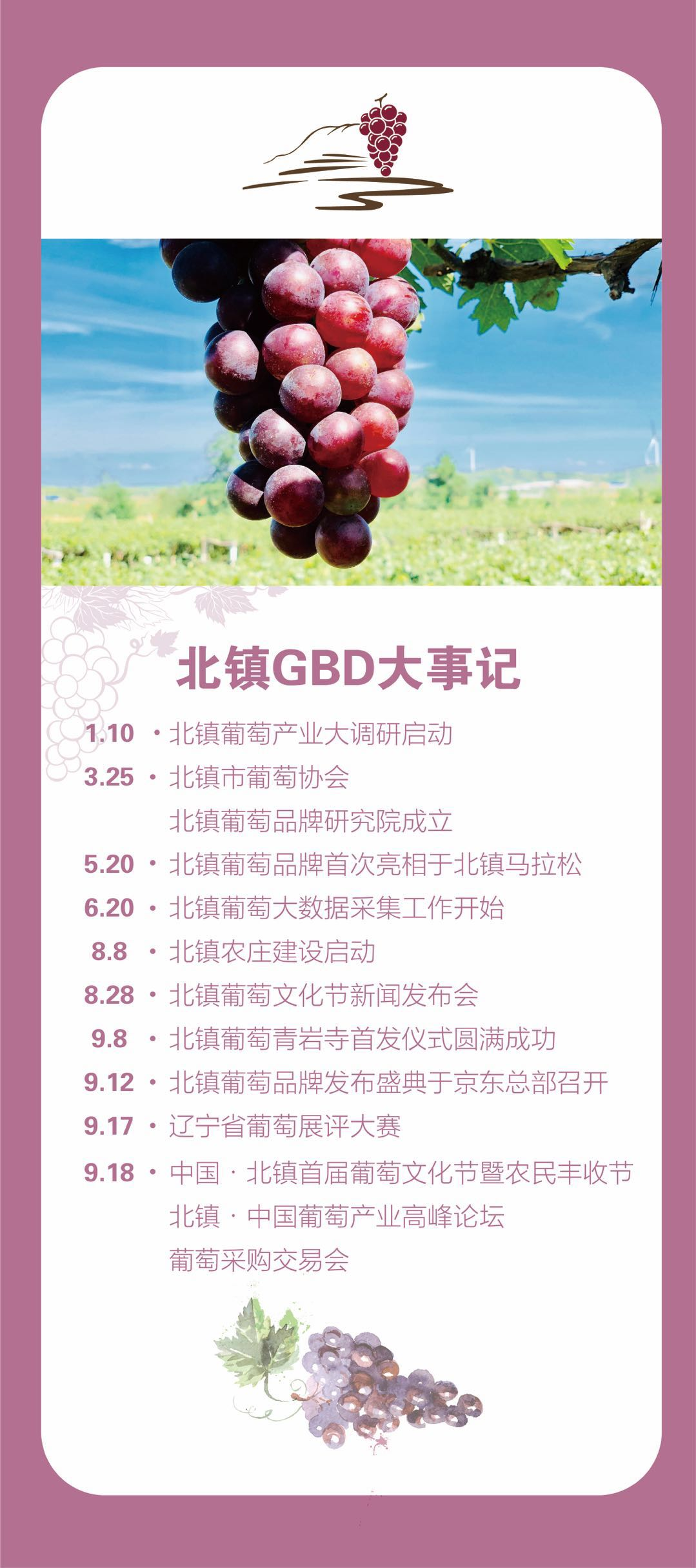 北镇葡萄品牌宣传品示例一
