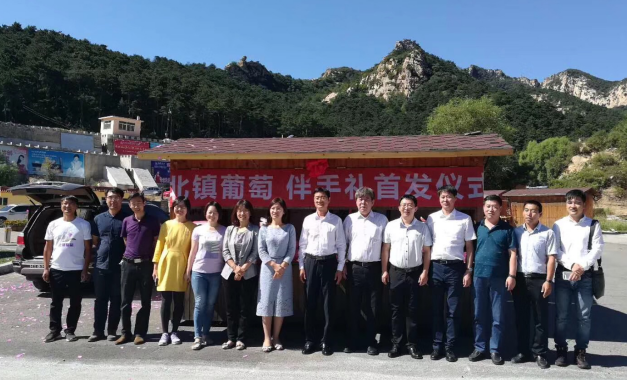 北镇葡萄品牌宣推活动一
