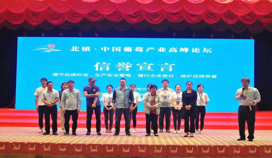 北镇葡萄品牌宣推活动三