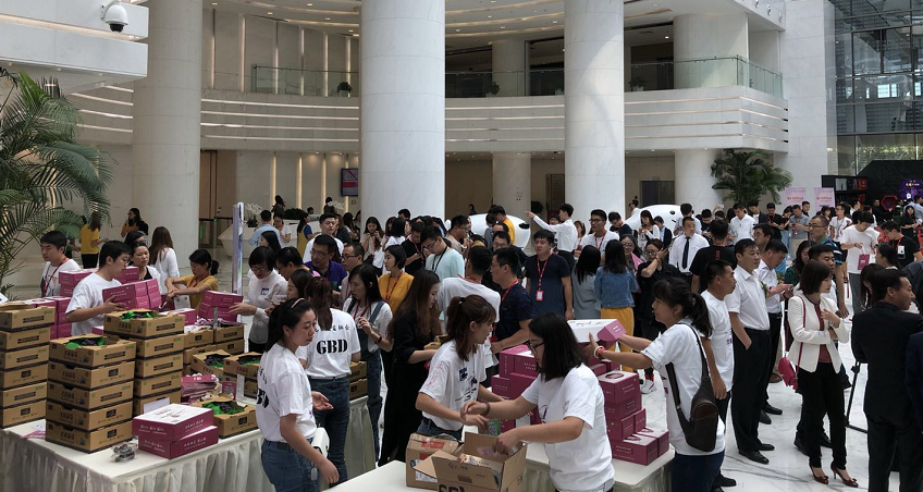 北镇葡萄品牌宣推活动五