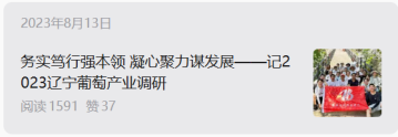 辽宁葡萄产业调研