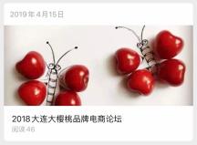 2018大连大樱桃品牌电商论坛封面