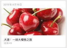 大连一场大樱桃之旅封面