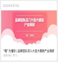 品牌团队深入产业调研封面