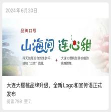 大连大樱桃品牌升级封面