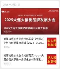 2025大连大樱桃品牌发展大会盛大启幕封面