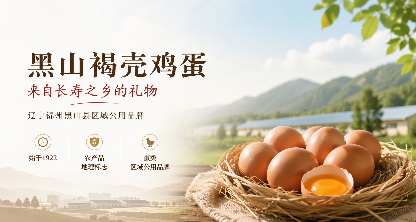 黑山褐壳鸡蛋，来自长寿之乡的礼物，辽宁锦州黑山县区域公用品牌；始于1922，农产品地理标志，蛋类区域公用品牌
