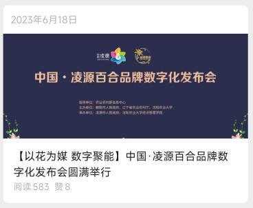 中国凌源百合品牌数字化发布会封面
