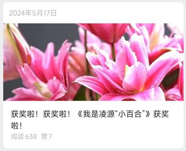 我是凌源小百合获奖封面