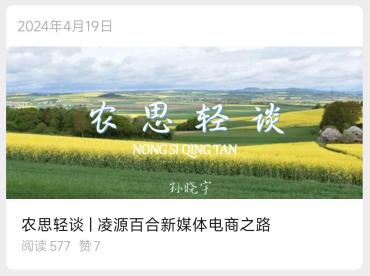 农思轻谈凌源百合新媒体电商之路封面